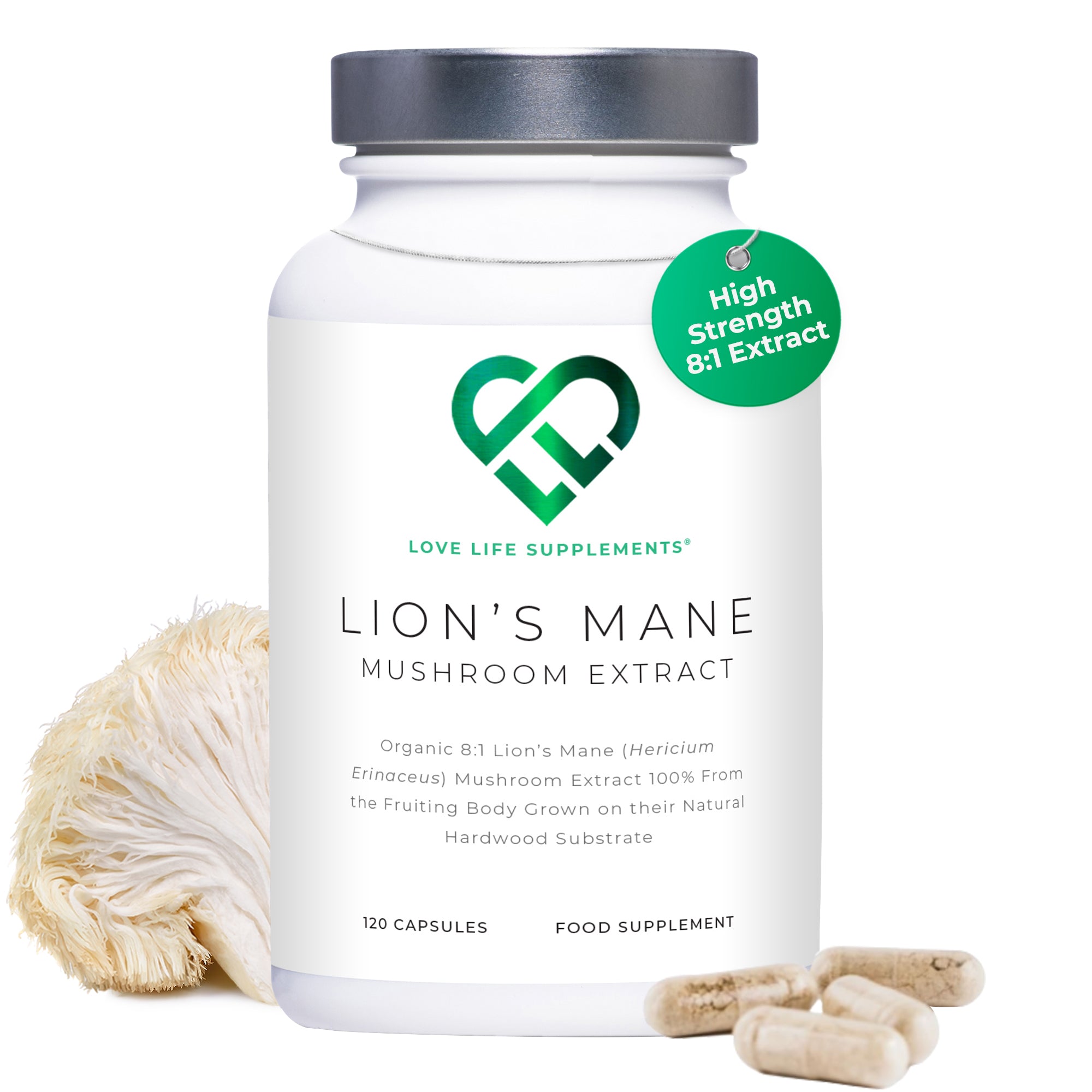 Lion&