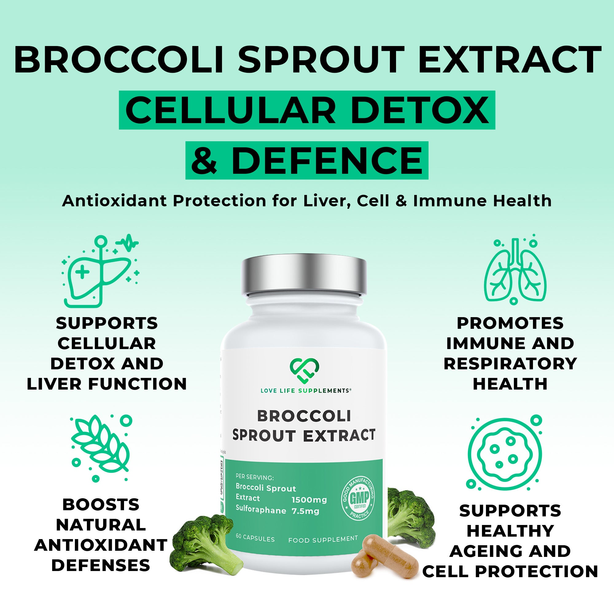 Broccoli Sprout Extract