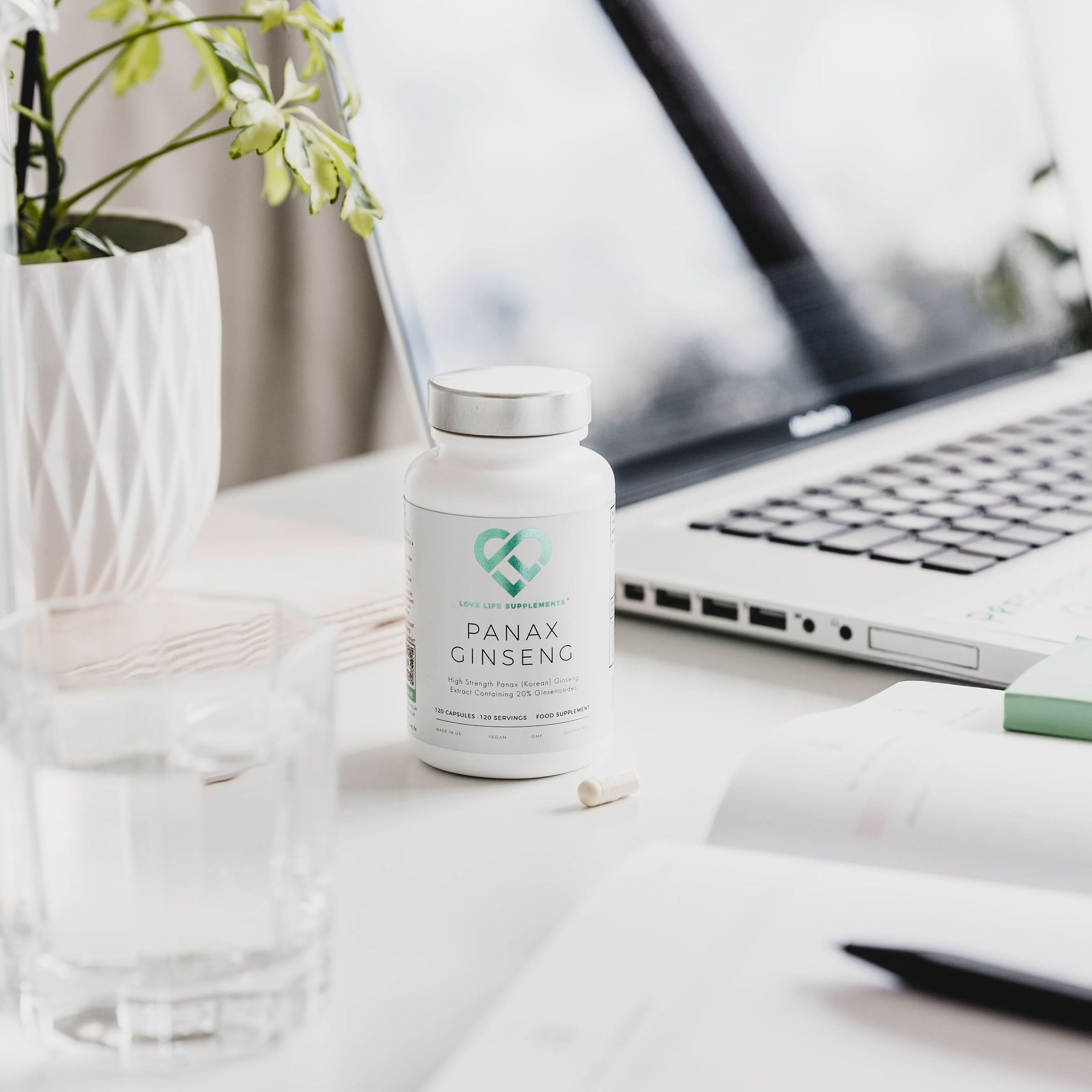 Panax Ginseng