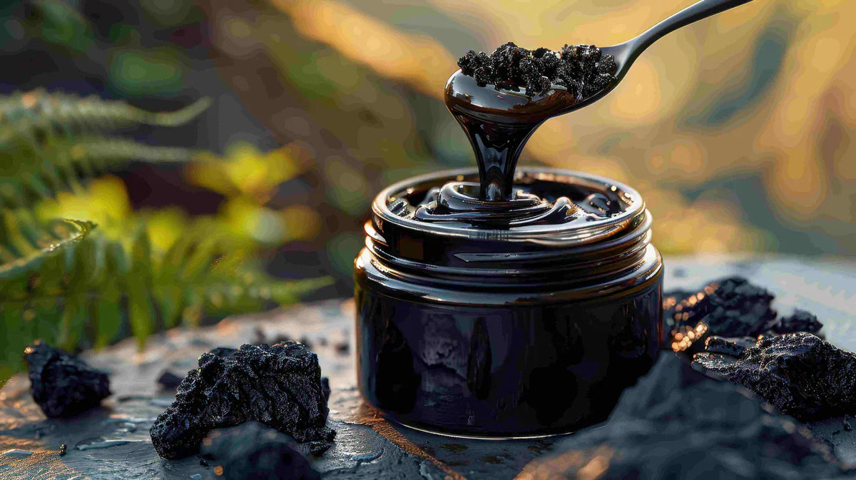 Shilajit – Benefits, Uses, Dosage and Science