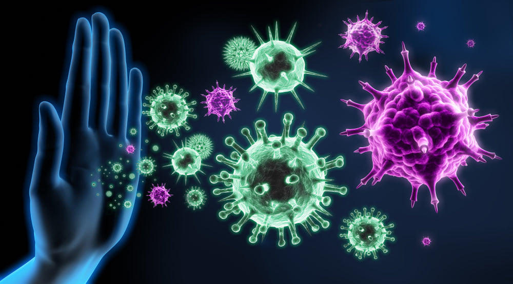 7 Ways to Support Your Immune System