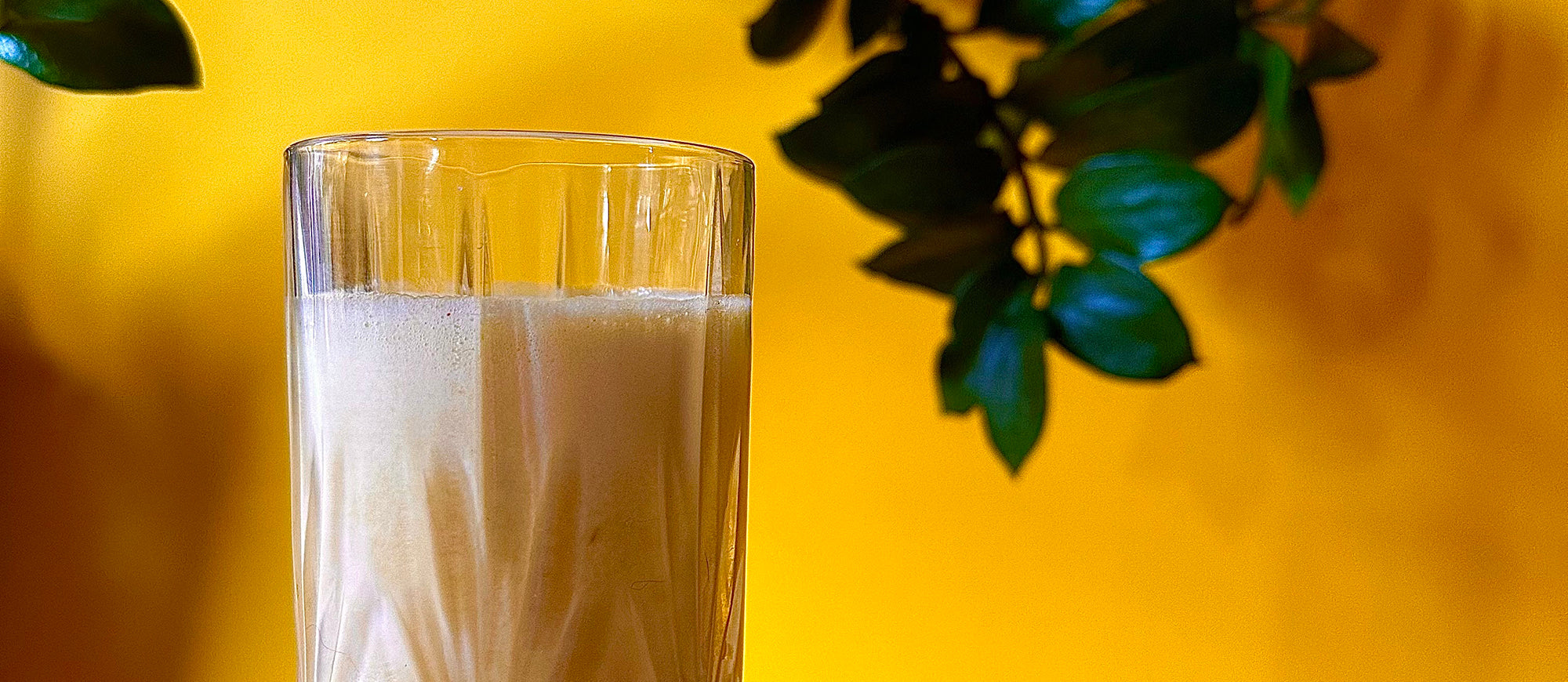 Piña Colada Curcumin Smoothie