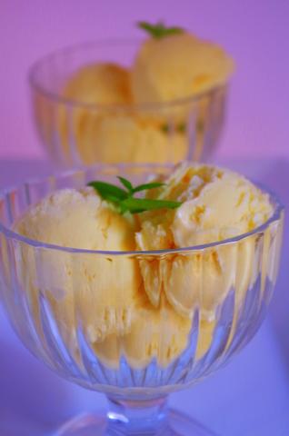 keto vanilla coconut ice cream