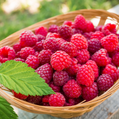 Raspberry 
