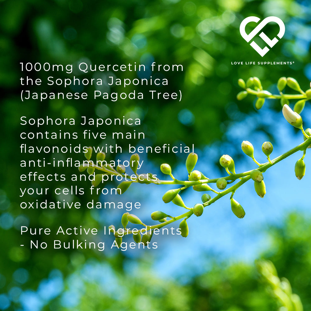 Quercetin &amp; Bromelain