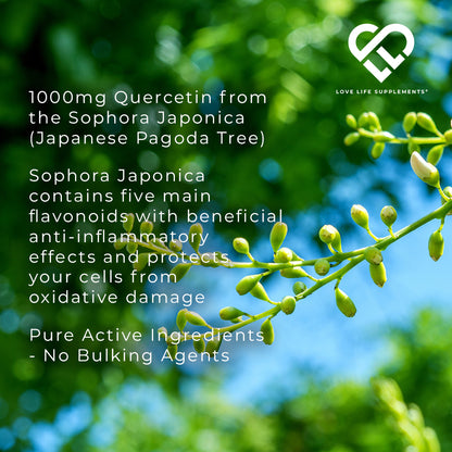Quercetin &amp; Bromelain
