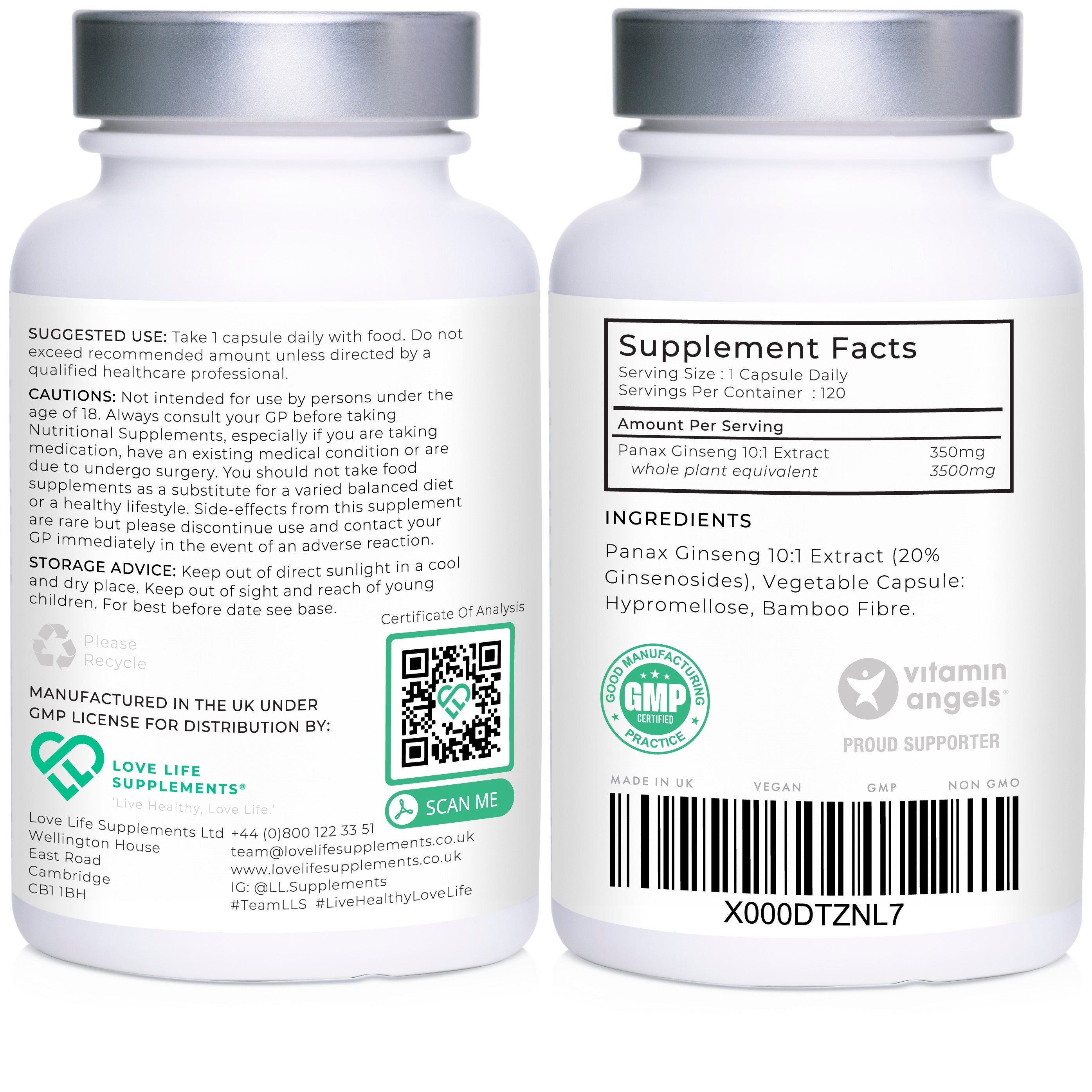 Panax Ginseng