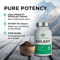 Shilajit supplement bottle with ingredients on a wooden surface