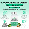 Broccoli_Sprout_Extract Broccoli Sprout Extract supplement bottle with health benefits on a light green background