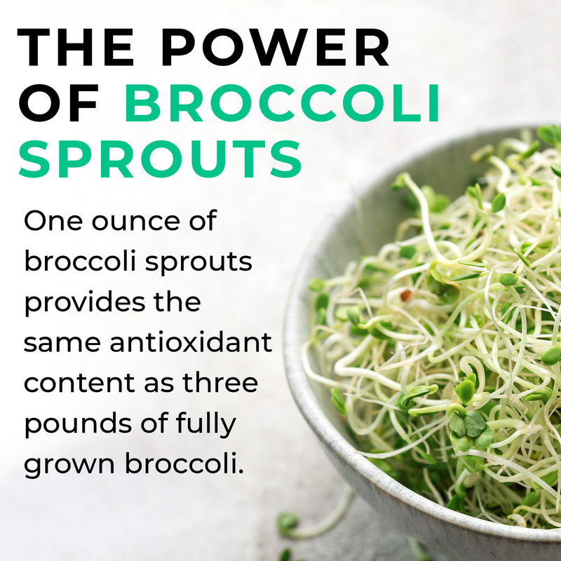 Broccoli_Sprout_Extract Bowl of broccoli sprouts with text about their antioxidant content