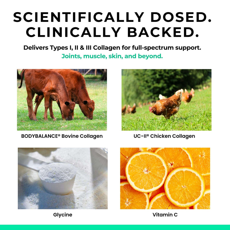 Advertisement for collagen products with images of cows, chickens, and ingredients.