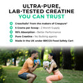 Advertisement for Ultra-Pure, Lab-Tested Creatine with two people exercising outdoors.