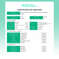 Curcumin_95 Certificate of Analysis for Love Life Supplements product on a green and white background