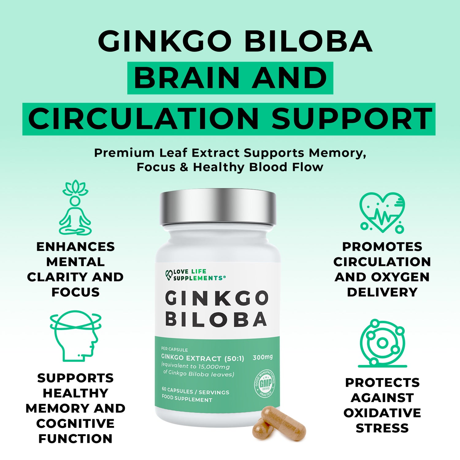 Ginkgo Biloba