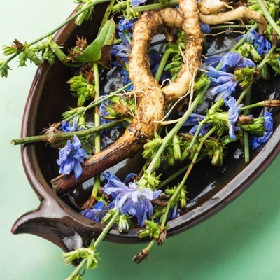 Inulin (Beneo Orafti®)