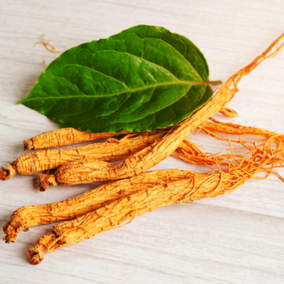 Panax Ginseng