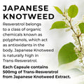 Japanese knotweed with text about Resveratrol and its benefits
