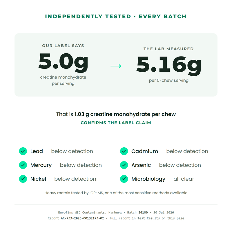 Independent Eurofins lab test results for Creapure Creatine Chews batch 26100: 5.16g creatine monohydrate measured per 5-chew serving against the 5.0g label claim, heavy metals below detection, microbiology all clear