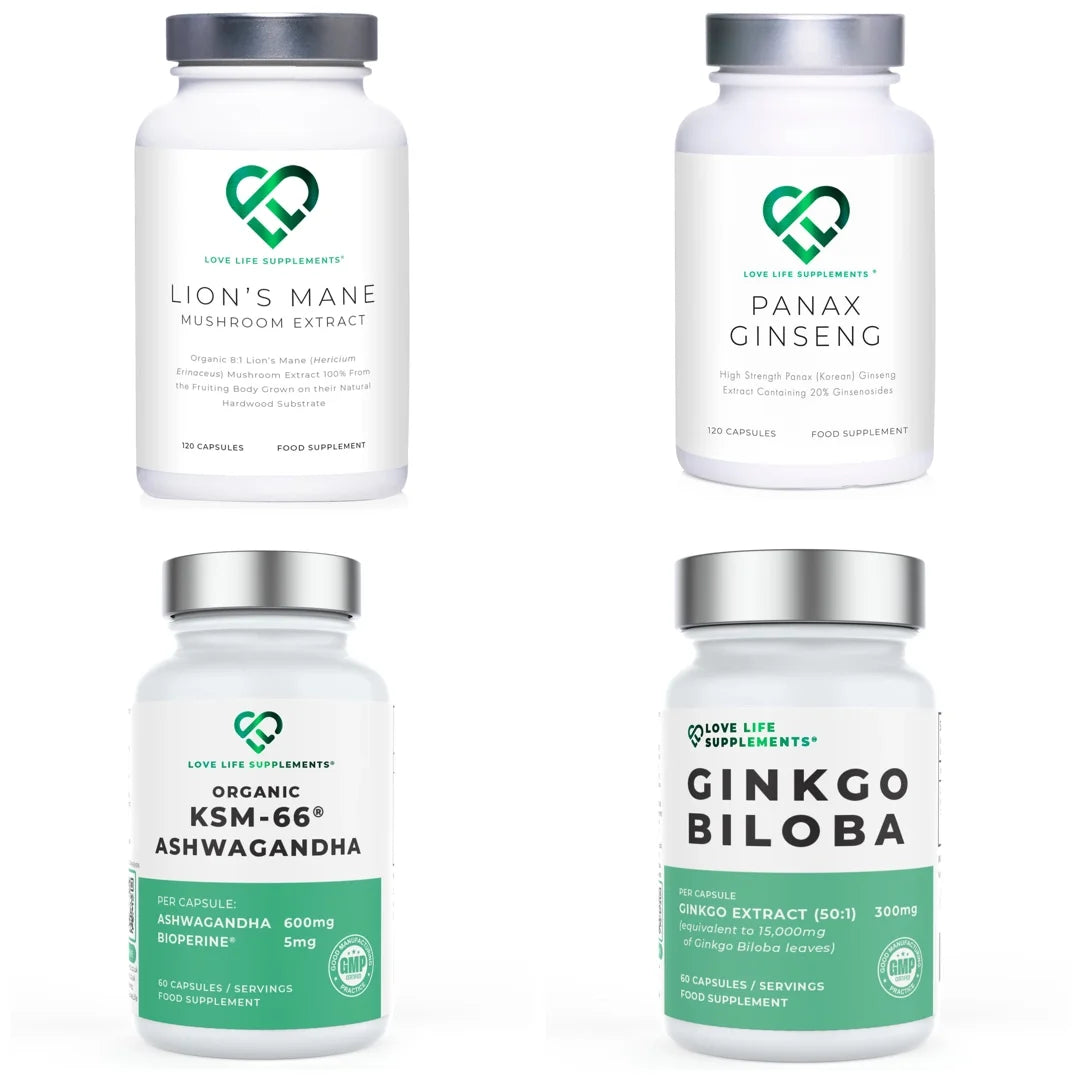 Brain Boost Bundle